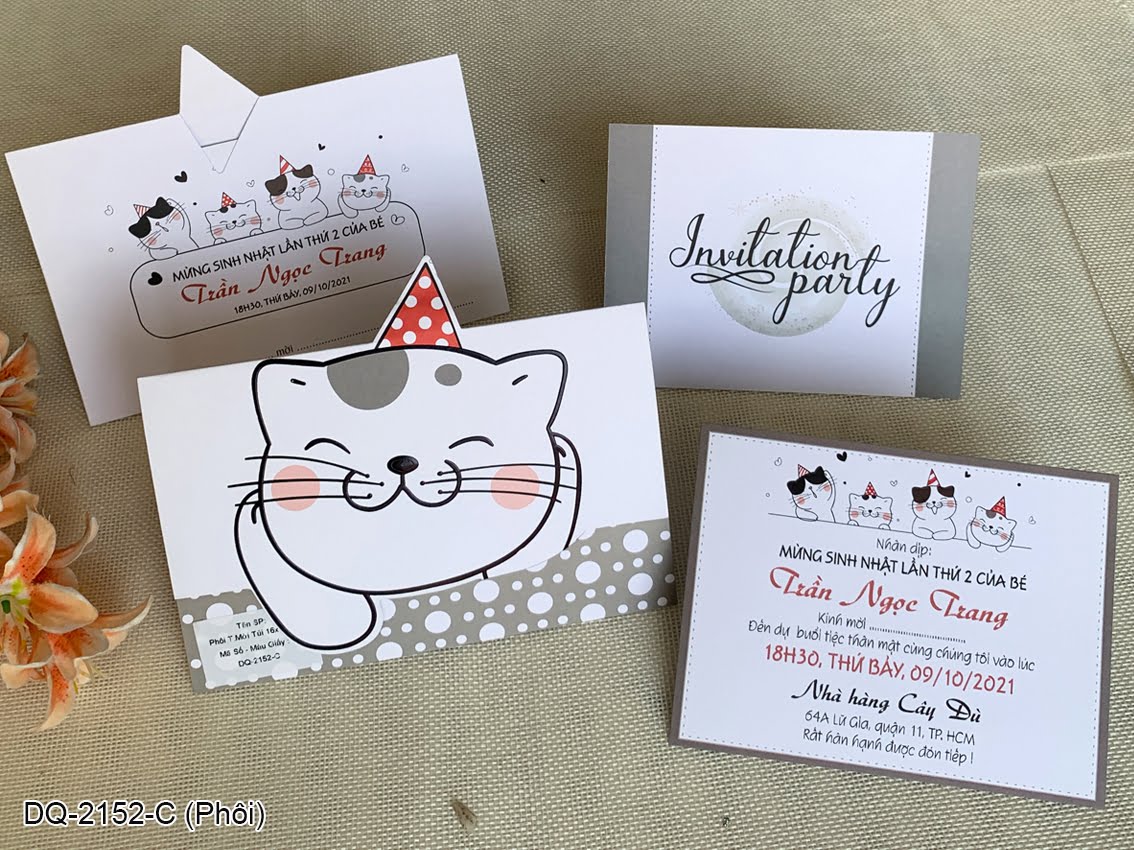 1647046643-DQ2152CPhoi